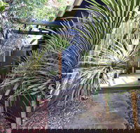 Lornebeach Apartments - Hotel Accommodation