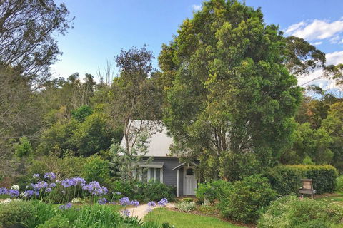 Abelia House - Hotel Accommodation 1