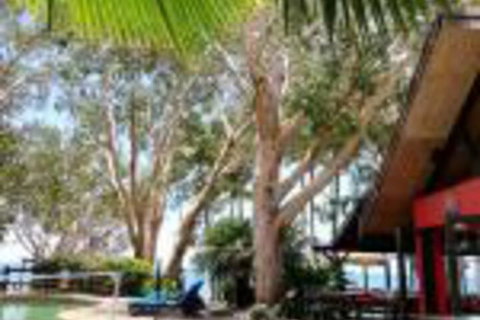 Turtle Cove Beach Resort Adults Only LGBTQIA & Allies - Hotel Accommodation 0