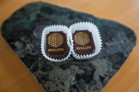 Avalon City Retreat - Hotel Accommodation 4