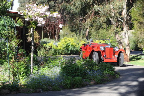 Wintarni Olives Cottage - Hotel Accommodation 1