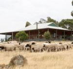 Gilgraves Vineyard Farmstay - Hotel Accommodation