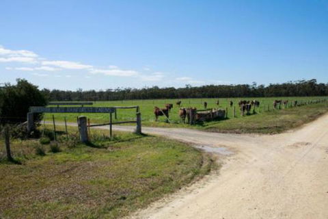Brodribb River Rainforest Cabins Cabin 3 - Hotel Accommodation 7
