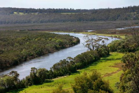 Brodribb River Rainforest Cabins Cabin 3 - Hotel Accommodation 5