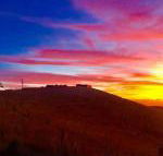 One Tree Hill - Hotel Accommodation