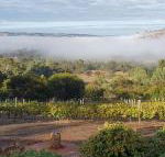 Pecan Hill BNB - Hotel Accommodation