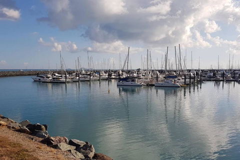 AIRLIE BEACH Delight. Hop Skip Jump To Everything - Hotel Accommodation 1