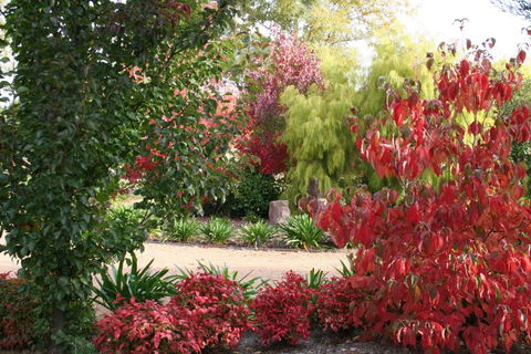Delderfield Cottages - Hotel Accommodation 4