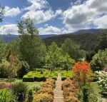 Delderfield Cottages - Hotel Accommodation