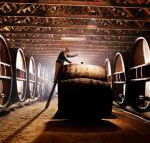 Pieter van Gent Winery  Vineyard - Hotel Accommodation