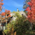 Cloudsong Chalet 4 Close To The Village Centre! - Hotel Accommodation 0