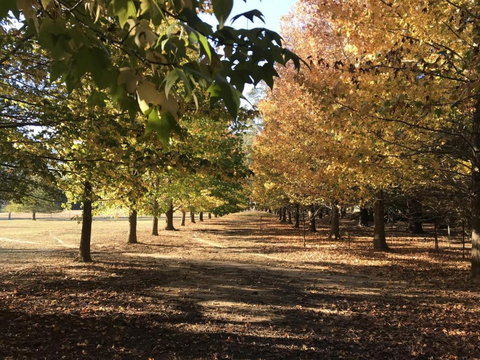 The Ambers Comfortable Family Getaway! - Hotel Accommodation 3