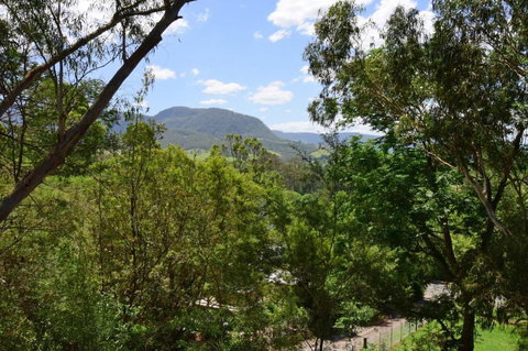 Treetops Newly Renovated In The Village! - Hotel Accommodation 6