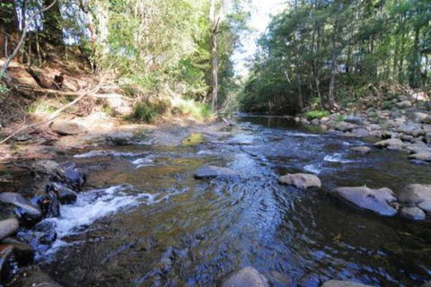 Willabrook Retreat Rest Cottage Spoil Yourself! - Hotel Accommodation 7