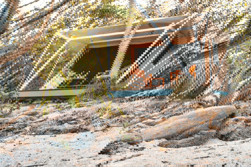 Wilson Island QLD Hotel Accommodation