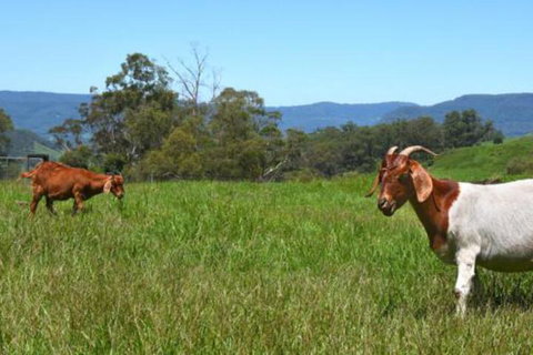 The Heavens Mountain Escape - Hotel Accommodation 2