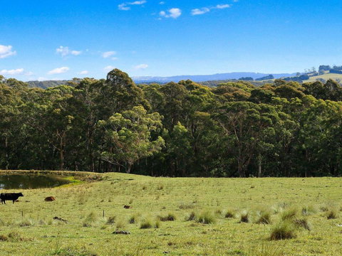 Cooinda 50 Percent Off Third Night On Weekend - Hotel Accommodation 5