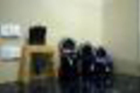 Skymirror Cottage - Hotel Accommodation 2