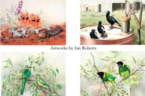 Windmill Cottage - Hotel Accommodation 3