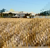 The Mains Guest House - Hotel Accommodation