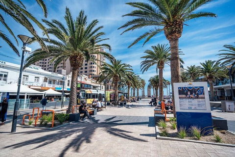 High Tide On Augusta Netflix Wifi & Chill... - Hotel Accommodation 3