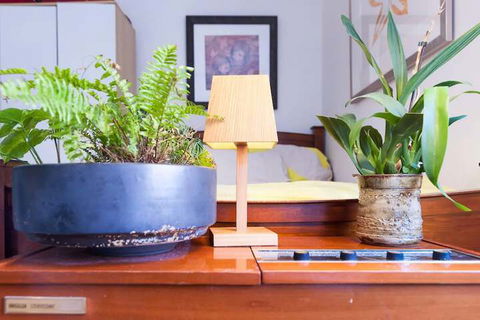 Beautiful Lush & Green Oasis Studio Apartment - Hotel Accommodation 6