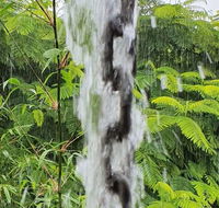 Driftwood Villa - Hotel Accommodation