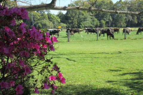 Greenfields - Hotel Accommodation 2