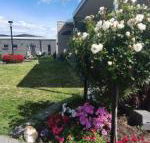 Velika - Hotel Accommodation