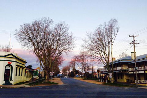 Wallace Lodge - Hotel Accommodation 6