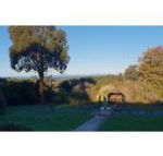 Ripplebrook Cottage - Hotel Accommodation