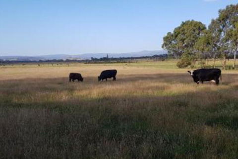 Olinda Yarra Cottage - Hotel Accommodation 6