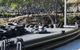 Oasis 25 Hamilton Island - thumb 2