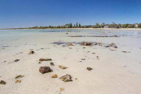 Bottlebrush - Hotel Accommodation 4