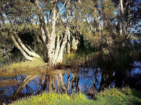 Wisteria Cottage On The Lagoon / Beach - Hotel Accommodation 4