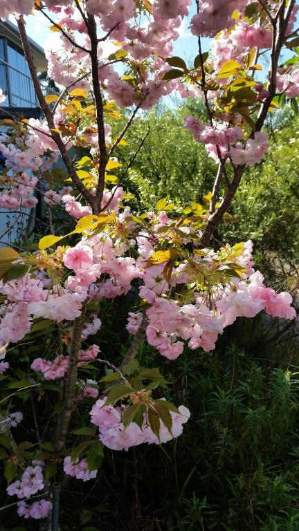 Beezneez B & B - Hotel Accommodation 5