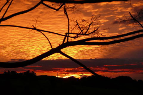 Cedarview Bed & Breakfast - Hotel Accommodation 5