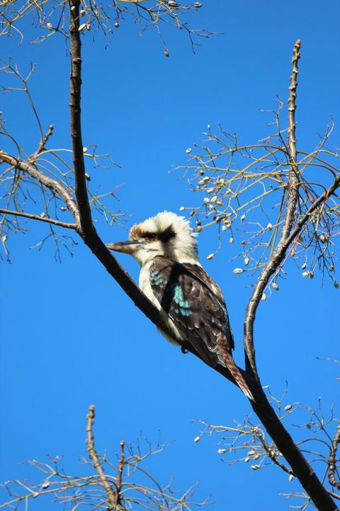 Escape778 - Hotel Accommodation 3