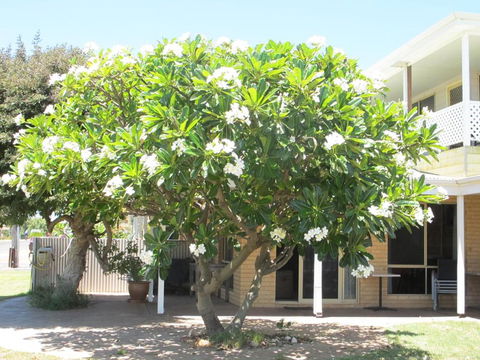 Kalbarri Riverfront Unit - Hotel Accommodation 3