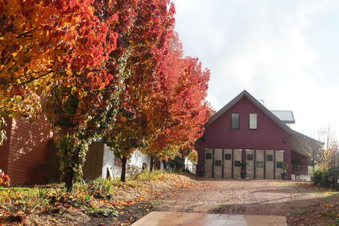 Magenta Cottage - Hotel Accommodation 6