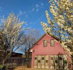 Magenta Cottage - Hotel Accommodation
