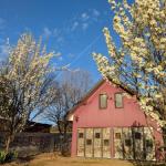 Magenta Cottage - Hotel Accommodation 0