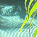 Bli Bli QLD Hotel Accommodation