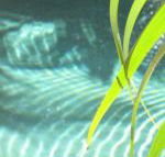 Artizen - Hotel Accommodation