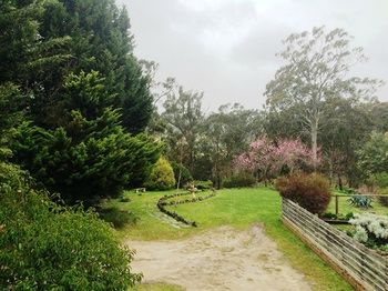 Acacia House Retreat Daylesford - Hotel Accommodation 1