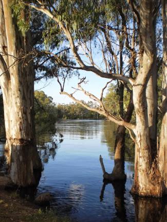 Barham Riverland Motel - Hotel Accommodation 1