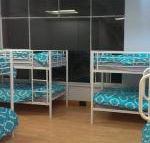 Wombat Backpackers - Hotel Accommodation