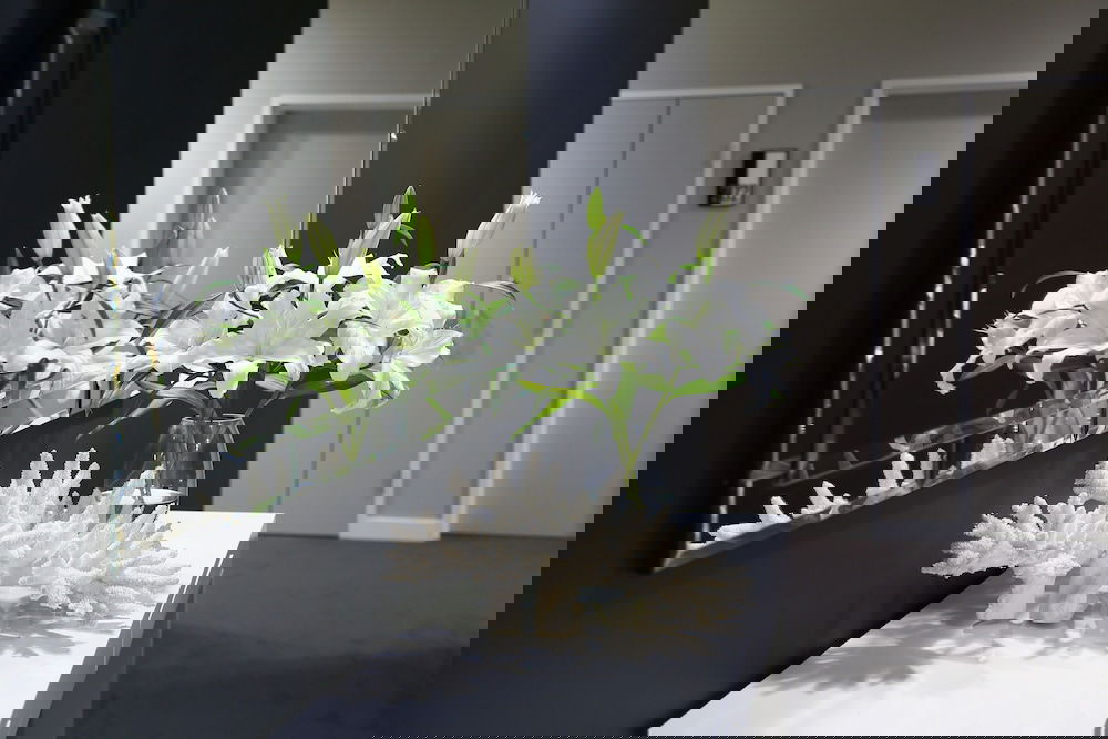 Brookwater QLD Hotel Accommodation