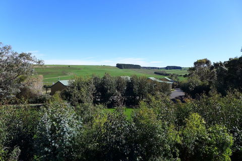 Daysy Hill Country Cottages - Hotel Accommodation 6