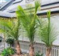 One Thornbury Boutique B  B - Hotel Accommodation
